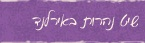 שיט נהרות באירלנד